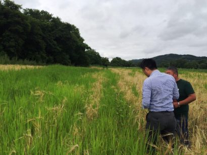 新潟東港にロシア産牧草を輸入するプロジェクトが進行中