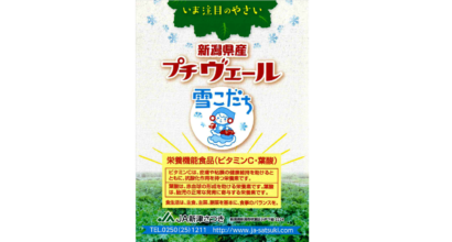 新潟市秋葉区産の野菜「プチヴェール」が栄養機能食品として７日から販売