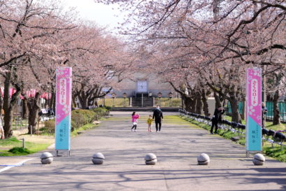 ４月１日から開催「上越市高田公園の観桜会」