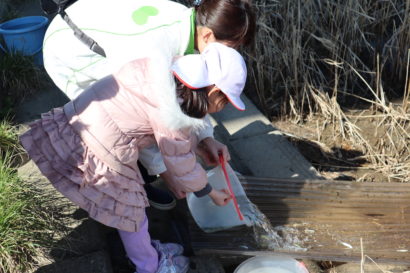 新潟市内のこども園の児童が阿賀野川で鮭の稚魚を放流