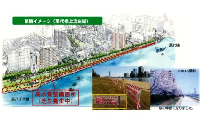 新潟市の萬代橋～八千代橋 左岸側で実施していた「高水敷整備」が完了