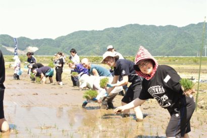 おいしいお酒になあれ！〜村上市・大洋酒造で田植えイベント