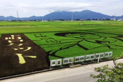 新潟県内の田んぼアート