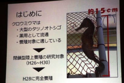 新潟県水産海洋研究所が研究発表会