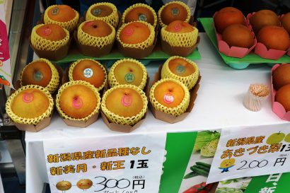 新潟市中央区の万代シテイの一角に旬真っ只中の「秋フルーツ」の試食販売ブース