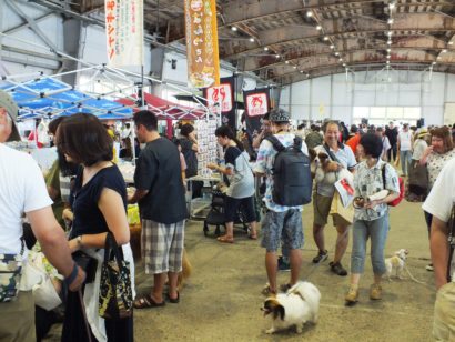 「第１回わんにゃんカーニバル2019 in 大かま」が新潟市中央区で開催中