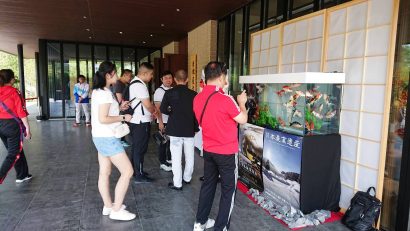 「２０１９年北京国際園芸博覧会」の日本展示館に「錦鯉」の水槽が登場