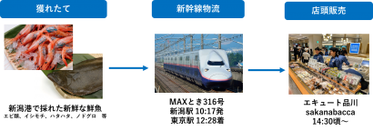 JR東日本スタートアップが新潟の海産物を“獲れたて状態”で都内販売