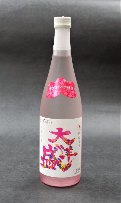 村上市の大洋酒造が「オシロイバナ酵母仕立て純米吟醸大洋盛」を発売　華やかでやさしい味わい