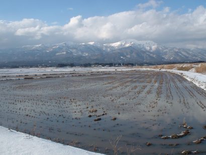 多様性のある佐渡の農業を持続可能にする取り組みを行うJA佐渡