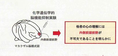 サルで人の心を読む脳部位を特定、新潟大学大学院等の研究グループが公表