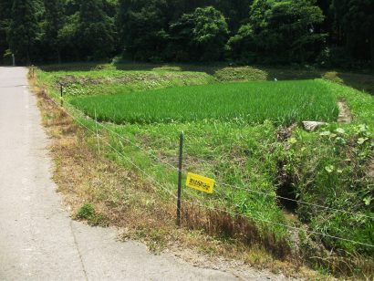 自治体の鳥獣対策事業をサポートする長岡技科大発のベンチャー企業「うぃるこ」