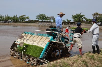 新潟県燕市で虹の田んぼアートの田植えが初の機械で行われる