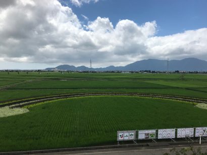 新潟県燕市の田んぼアート、今年は医療従事者を応援する虹の絵