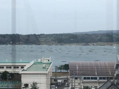 新潟県佐渡市の加茂湖で赤潮プランクトンが発生