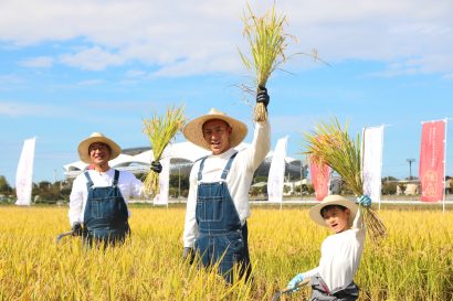 新潟のブランド米「新之助」のアンバサダーに市川海老蔵さんが就任し、堀越勸玄さんと共に稲刈りを体験