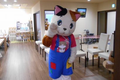 新潟県上越市で猫をモチーフにしたクラフト雑貨などを販売する「猫フェス」が開催