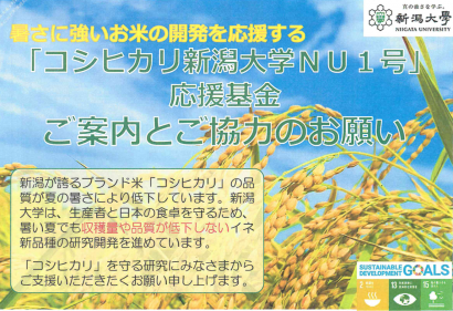 新潟大学が、来年度実証実験に向けて応援基金「コシヒカリ新潟大学NU１号応援基金」を創設