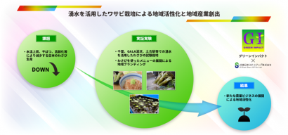 JR東日本スタートアップ（株）が新潟県のGALA湯沢スキー場にて、トンネル湧水で育てたわさびの試食会