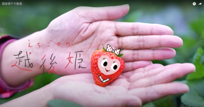 JA全農にいがた、越後姫の美味しさを県内外へ広ＰＲするための動画を制作