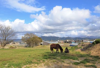 胎内市の養老牧場「松原ステーブルス」、引退後の競走馬を救うためクラウドファンディングを続行