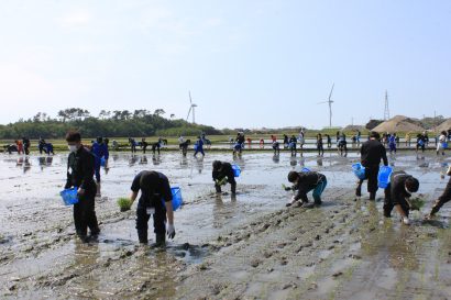 新潟食料農業大学でコロナ禍における実習「手植えで稲と向き合う田植え」を実施