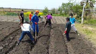 新潟県胎内市でオリジナル品種の枝豆を復活させるイベント、農地を相続した個人が地元大学生とタッグ組む