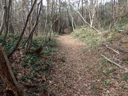 鉱山道「西五十里道・鶴子道」が国史跡「佐渡金銀山遺跡」（新潟県佐渡市）へ追加指定