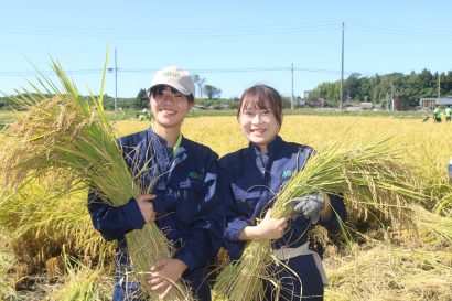 新潟農業・バイオ専門学校の学生が手刈りによる稲刈りと稲架掛け