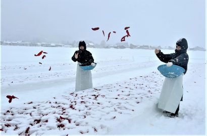 有限会社かんずり（新潟県妙高市）が大寒の雪の中「雪さらし」を実施