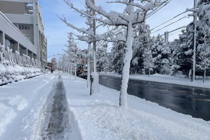 新潟県が１８日１５時現在の雪被害状況を公表、上越市や長岡市で高齢者が除雪作業中に死亡