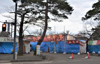 新潟県上越市の「第９７回高田城址公園観桜会」の開幕初日は強風のため急遽中止に