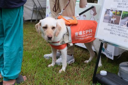 新潟市で３年ぶりに「動物フェスティバル」が開催、盲導犬の仕事やペットの適切な飼育などを啓発