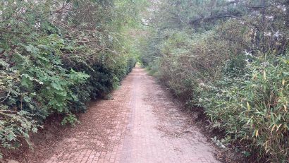 【速報】新潟市東区の山の下海浜公園の雑木林で６０歳から７０歳くらいの男性の身元不明遺体を発見