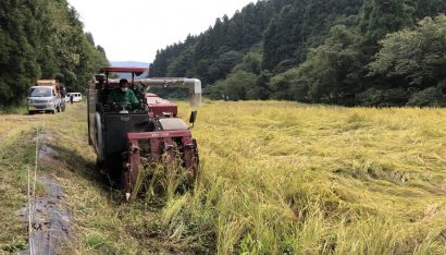 地域とともに自然を守る、岩塚製菓株式会社（新潟県長岡市）などが取り組む「自然栽培米」の稲刈りを実施