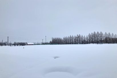 【新潟県内の雪被害（２３日１５時現在）】小千谷市で除雪作業中２人が死亡、今冬の雪による死亡者は５人に