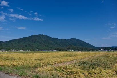 新潟「県」のふるさと納税、実は寄付額が都道府県中５位だが、課題も