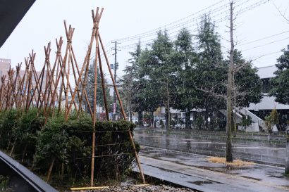 【気象情報】新潟市で初雪を観測、３日は上中下越で晴れかくもり、佐渡はくもり時々雨