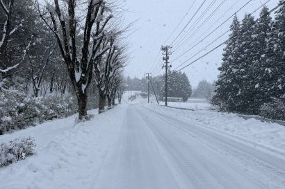 【暖冬】「暖かくても積雪に注意を」12月後半から寒気到来、ぬかるみやクマ出没など暖冬ならではの危険も