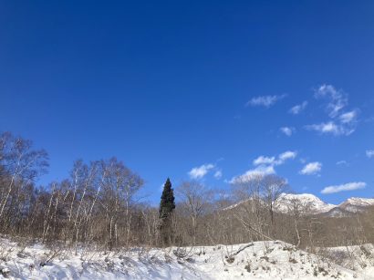 【天気予報】２１日の新潟県内は雪時々くもり、冬型の気圧配置となる見込み