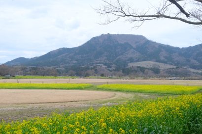 【天気予報】２４日の新潟県内は寒気や湿った空気の影響を受け、雨のちくもり