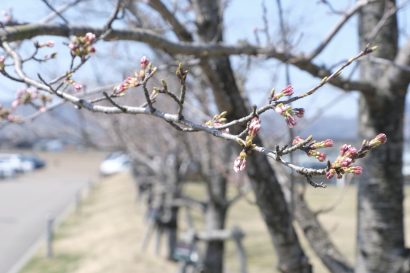 【天気予報】３１日の新潟県内は引き続き高気圧に覆われる見込み