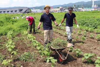 農薬不使用のえごまを使った「エゴマオイル」、NPO法人支援センターあんしん（新潟県十日町市）が発売開始