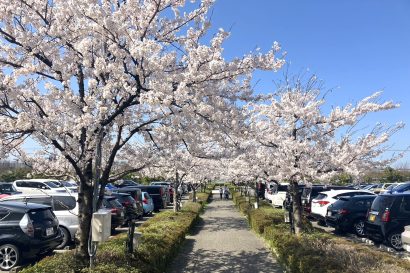 【天気予報】4日の新潟県内は引き続き高気圧に覆われる見込み、全県で晴れ