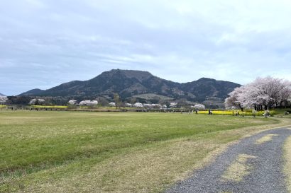 【天気予報】７日の新潟県内は前線が本州付近を通過する見込み、雨で朝晩は曇り