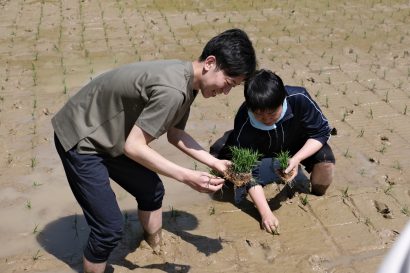 新潟県三条市の新規採用職員が棚田で田植え体験、滝沢亮市長・上田泰成新副市長も泥まみれに【動画あり】