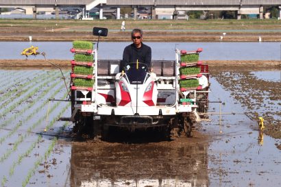 【写真コラム】全国の「食」を支える大切な作業、GWの新潟県内で田植え作業が進行中