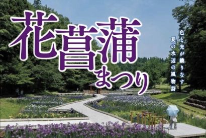 100種2万株とホタルが初夏を彩る「花菖蒲まつり」、しらさぎ森林公園（新潟県三条市）で開催