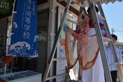 新潟県立海洋高校（新潟県糸魚川市）の生徒による「あんこう吊るし切りショー」　あすも上越妙高駅西口のコンテナタウン「フルサット」で開催【動画あり】