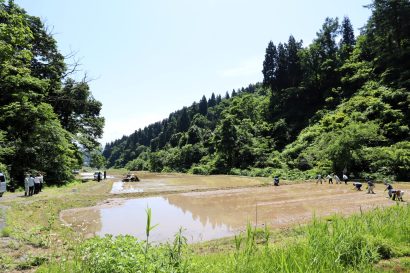 岩塚製菓（新潟県長岡市）が地域と共に取り組む「自然栽培米」——7年目の田植えを実施